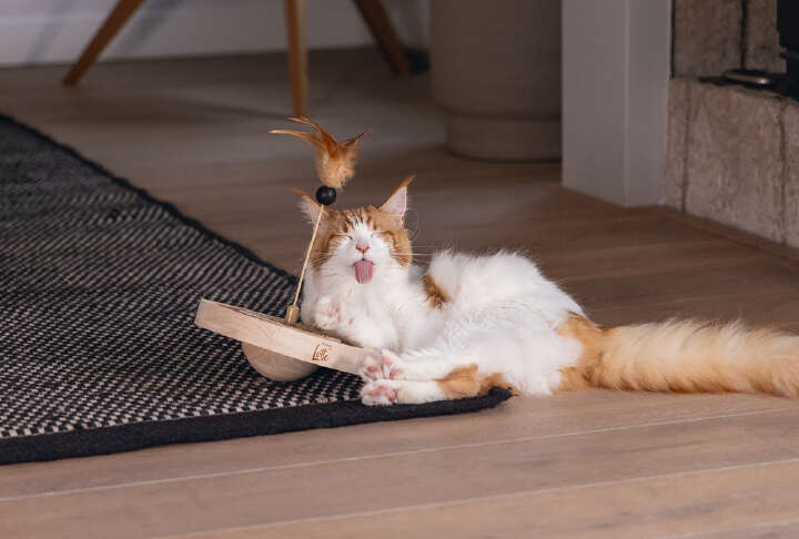 Designed by Lotte Katzenspielzeug Winni